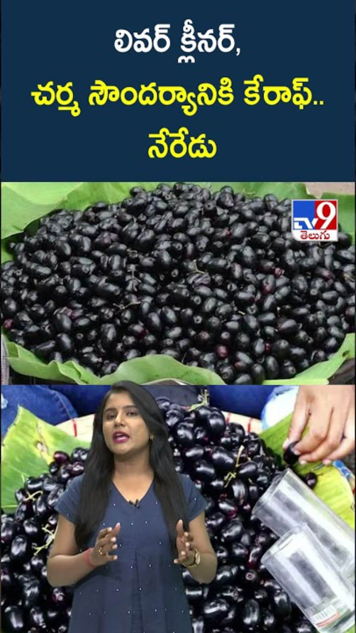 Jamun: చర్మ సౌందర్యానికి కేరాఫ్.. నేరేడుతో బోలెడు హెల్త్ బెనిఫిట్స్