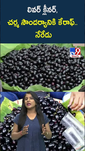 Jamun: చర్మ సౌందర్యానికి కేరాఫ్.. నేరేడుతో బోలెడు హెల్త్ బెనిఫిట్స్