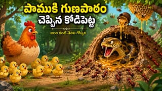 Moral Story: పాముకి గుణపాఠం చెప్పిన కోడిపెట్ట..బలం కంటే తెలివి గొప్పది..!