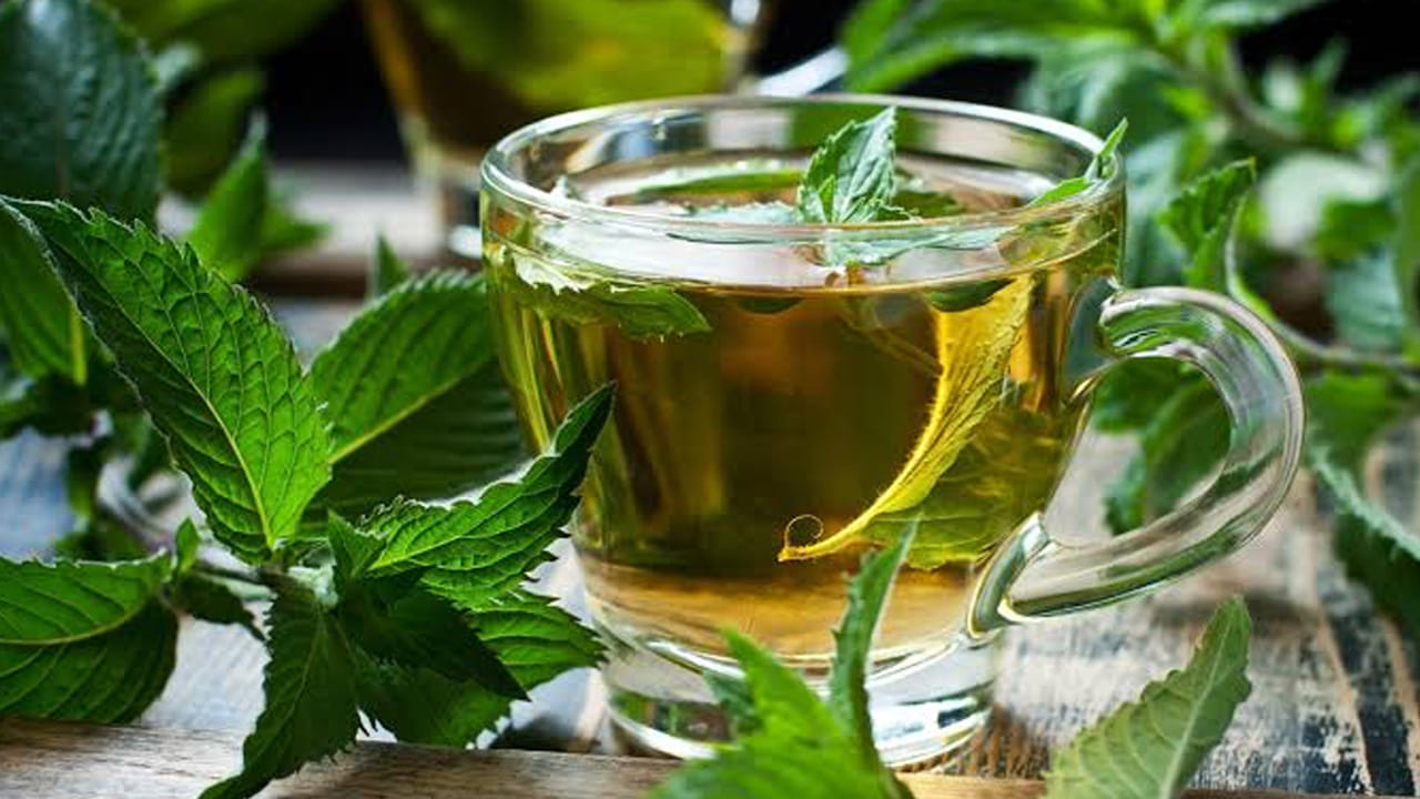 మూడవది పుదీనా - గ్రీన్ టీ (Mint Green Tea). గ్రీన్ టీ ఆకులతో పాటు కొన్ని తాజా పుదీనా ఆకులను వేసి ఈ టీ తయారుచేసుకోవాలి. పుదీనాలో ఉండే మెంతాల్ జీర్ణక్రియను మెరుగుపరుస్తుంది. వర్షాకాలంలో వచ్చే కడుపు ఉబ్బరం, గ్యాస్ సమస్యలను దూరం చేయడంతో పాటు, ఇందులోని యాంటీ మైక్రోబయాల్ గుణాలు ఇన్ఫెక్షన్ల నుండి ఉపశమనాన్ని ఇస్తాయి. రోజుకు ఒక్కసారైనా ఈ హెర్బల్ టీలను మీ దినచర్యలో భాగం చేసుకోవడం వల్ల ఈ వర్షాకాలాన్ని ఎలాంటి అనారోగ్యాలు లేకుండా హాయిగా ఆస్వాదించవచ్చు.