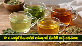 ఈ 3 హెర్బల్ టీలు తాగితే ఇమ్యూనిటీ సూపర్ చార్జ్ అవుతుంది