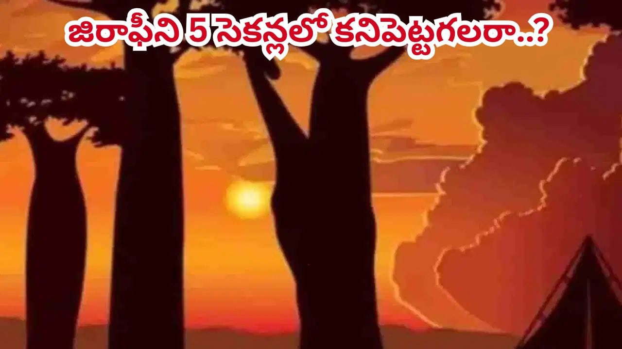 మీ మెదడుకు పదును పెట్టే సవాల్ ఇదిగో.. ఈ ఫొటోలో దాగున్న జిరాఫీని 5 సెకన్లలో కనిపెట్టడగలరా..?