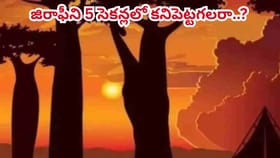 ఈ ఫొటోలో దాగున్న జిరాఫీని 5 సెకన్లలో కనిపెట్టడగలరా..?