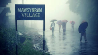 వార్నీ ఇదెక్కడి విడ్డూరం.. గొర్రెల కాపరులు కావాలంటూ నోటిఫికేషన్.. 700కు పైగా దరఖాస్తులు!