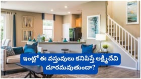 ఇంట్లో ఈ వస్తువులు ఇతరుల కంటికి కనిపిస్తే ధననష్టం? వాస్తు చెప్పే