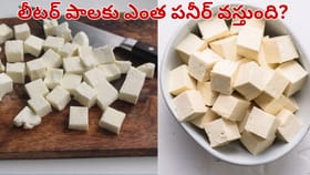 లీటరు పాలతో ఎంత పనీర్ వస్తుందో తెలుసా..? ఏ మిల్క్ వాడితే ..