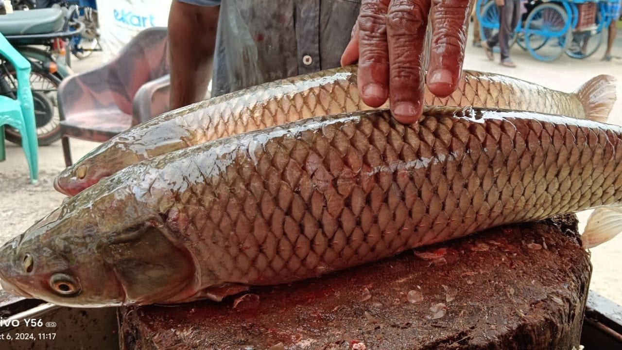 Fresh Fish: చేపలు కొంటున్నారా?.. అవి ఫ్రెష్‌గా ఉన్నాయో లేదో ఇలా సింపుల్‌గా తెలుసుకోండి