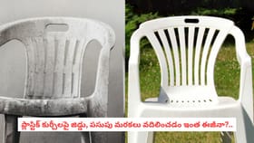 ప్లాస్టిక్ కుర్చీలపై జిడ్డు, పసుపు మరకలు వదిలించడం ఇంత ఈజీనా?..