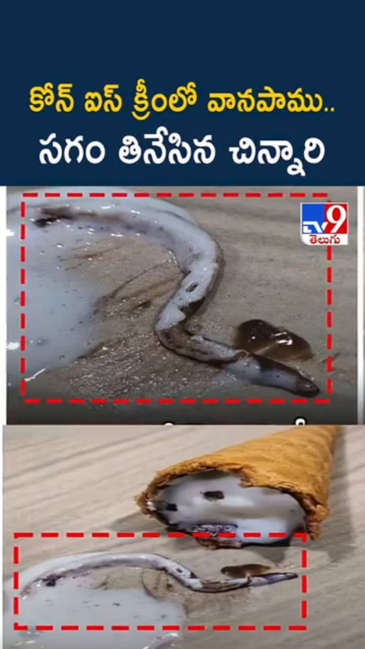 వామ్మో.. కోన్ ఐస్‌క్రీమ్ సగం తిన్నాక షాకింగ్ సీన్..