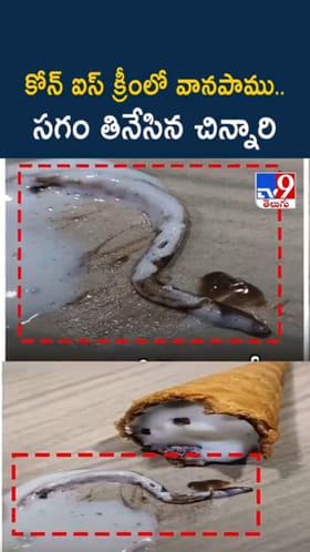 వామ్మో.. కోన్ ఐస్‌క్రీమ్ సగం తిన్నాక షాకింగ్ సీన్..