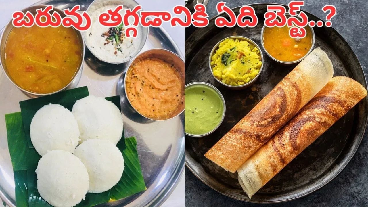 Idli vs Dosa: ఇడ్లీ వర్సెస్ దోశ.. బరువు తగ్గాలనుకునే వారికి ఏది బెస్ట్.. ఇదిగో పూర్తి వివరాలు