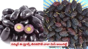 సమ్మర్‌‌లో ఈ ఫ్రూట్స్ తినకపోతే చాలా మిస్ అయినట్టే