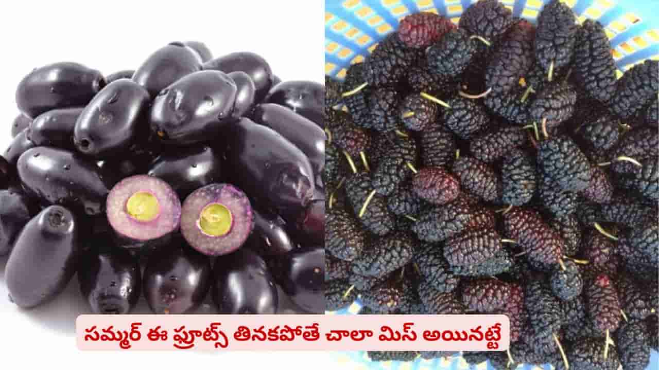 సమ్మర్లో ఈ ఫ్రూట్స్ తినకపోతే చాలా మిస్ అయినట్టే..? మ్యాంగోస్ మాత్రం కాదు