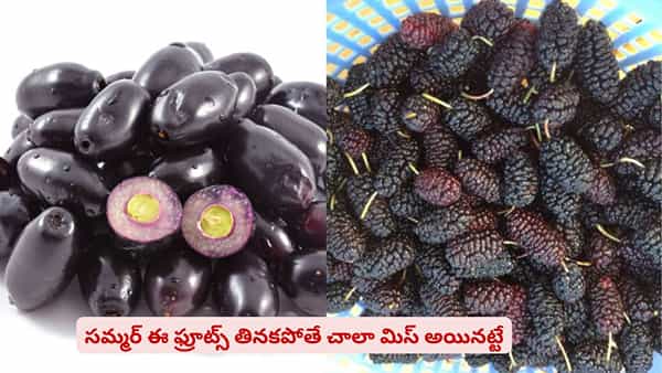 సమ్మర్లో ఈ ఫ్రూట్స్ తినకపోతే చాలా మిస్ అయినట్టే..? మ్యాంగోస్ మాత్రం కాదు