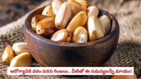 ఆరోగ్యానికి వరం పనస గింజలు.. వీటితో ఈ సమస్యలన్నీ మాయం!