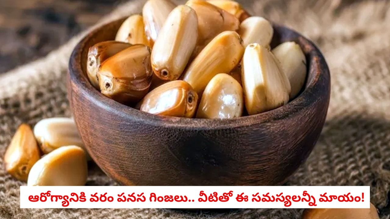 Jackfruit Seeds: పనస గింజలను పారేస్తున్నారా.. ఈ లాభాలు తెలిస్తే అస్సలు వదిలిపెట్టరు!