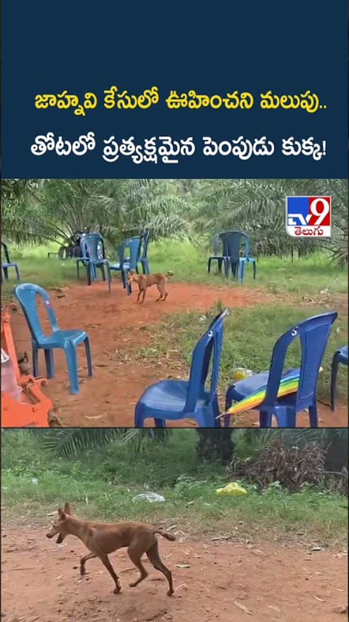 చిన్నారి మిస్సింగ్ కేసులో కొత్త ట్విస్ట్.. తోటలో ప్రత్యక్షమైన పెంపుడు కుక్క!