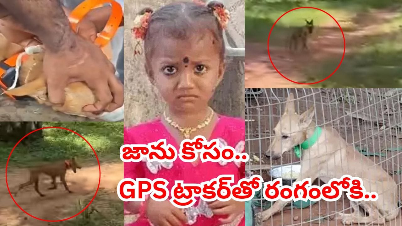 జాను కోసం కదిలిన భైరవుడు.. జీపీఎస్ ట్రాకర్‌తో రంగంలోకి పెట్ డాగ్.. పాప మిస్సింగ్ కేసు లేటెస్ట్ అప్డేట్...