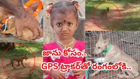 జాను కోసం కదిలిన భైరవుడు.. జీపీఎస్ ట్రాకర్‌తో రంగంలోకి పెట్ డాగ్