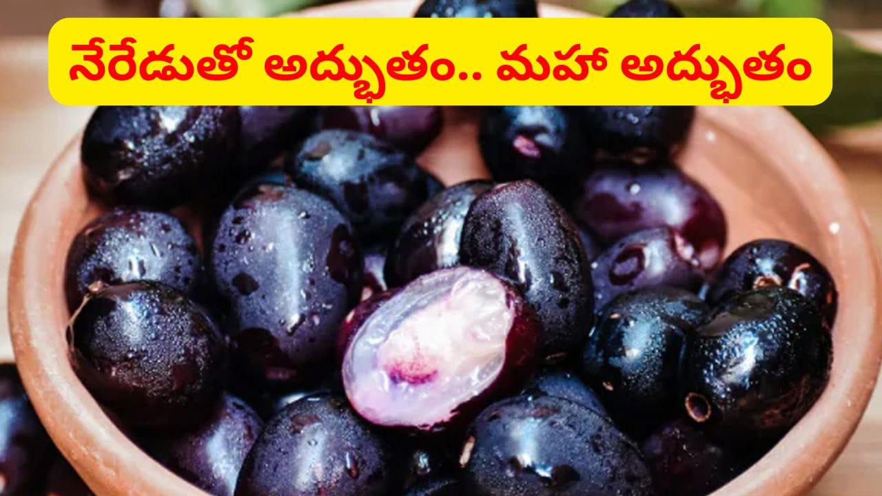 అద్భుతం.. మహా అద్భుతం.. ఆ సమస్యలను తగ్గించే శక్తి ఒక్క నేరేడు పండుకే ఉంది..