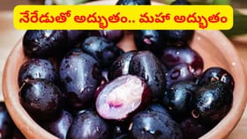 ఆ సమస్యలను తగ్గించే శక్తి ఒక్క నేరేడు పండుకే ఉంది..