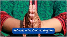 జపం చేస్తున్నా ఫలితం రావట్లేదా? ఈ 7 నియమాలు పాటిస్తే దైవానుగ్రహం