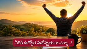 Job Astrology: శుక్రుడి కటాక్షం.. వారికి ఉద్యోగ పదోన్నతులు ఖాయం..