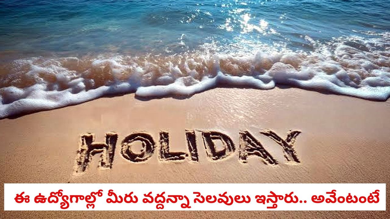 Holiday Perks: ఏ ఉద్యోగంలో ఎక్కువ సెలవులు దొరుకుతాయ్? ఆ విషయం తెలిస్తే, మీరు అక్కడే పని చేయడానికి ఇష్టపడతారు!