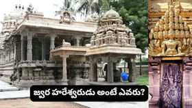 జ్వరం, అనారోగ్య బాధలు తొలగాలని కోరుకుంటున్నారా? జ్వరహరేశ్వరుడి..
