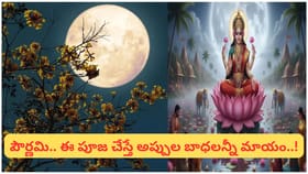 పౌర్ణమి రోజున ఈ ఒక్క పని చేస్తే చాలు.. అప్పుల బాధ దూరమై లక్ష్మీ..