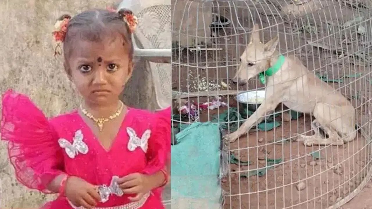 Kakinada: కాకినాడ చిన్నారి మిస్సింగ్ కేసులో ట్విస్ట్.. పెంపుడు కుక్క మృతి