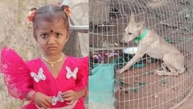 కాకినాడ చిన్నారి మిస్సింగ్ కేసులో ట్విస్ట్.. పెంపుడు కుక్క మృతి