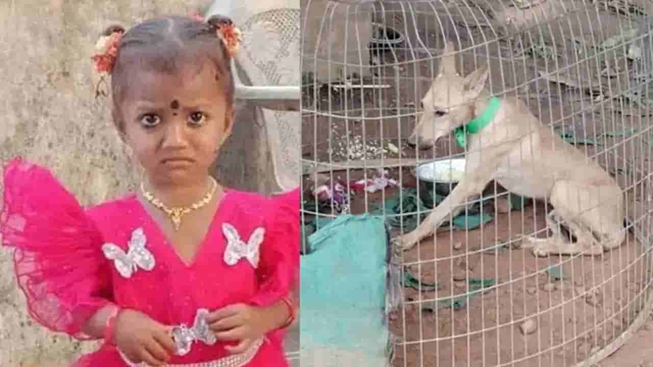 Kakinada: కాకినాడ చిన్నారి మిస్సింగ్ కేసులో ట్విస్ట్.. పెంపుడు కుక్క మృతి.. అసలు దానికి ఏమైందంటే?