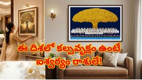 ఇంట్లో కల్పవృక్షం ఫోటో ఉందా..? ఆ దిశలో పెడితే ఐశ్వరం రాశులే!