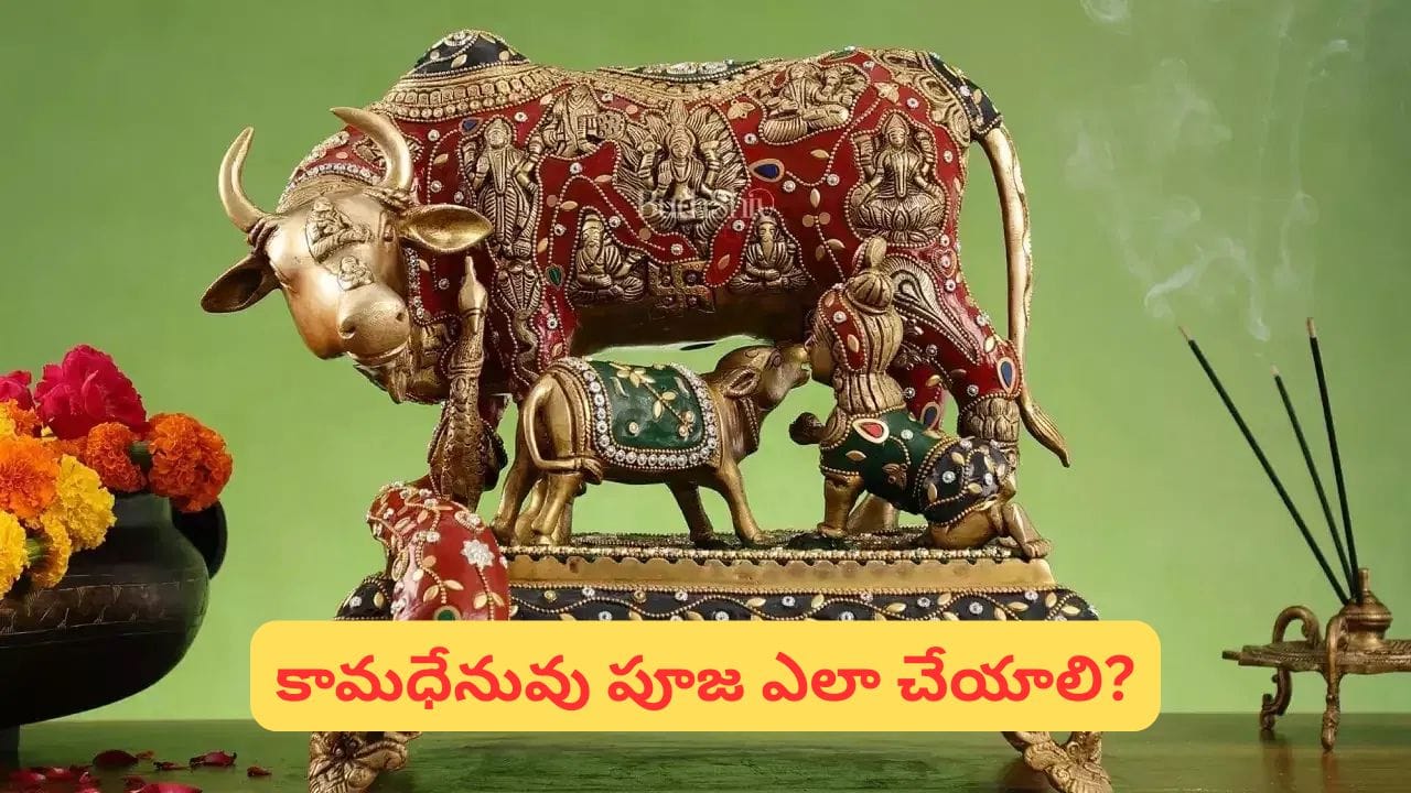 Vastu Tips: ఇంట్లో కామధేనువు విగ్రహం ఉందా? ఈ దిశలో ఉంచితే ధన, సంతాన యోగం కలుగుతుందట!