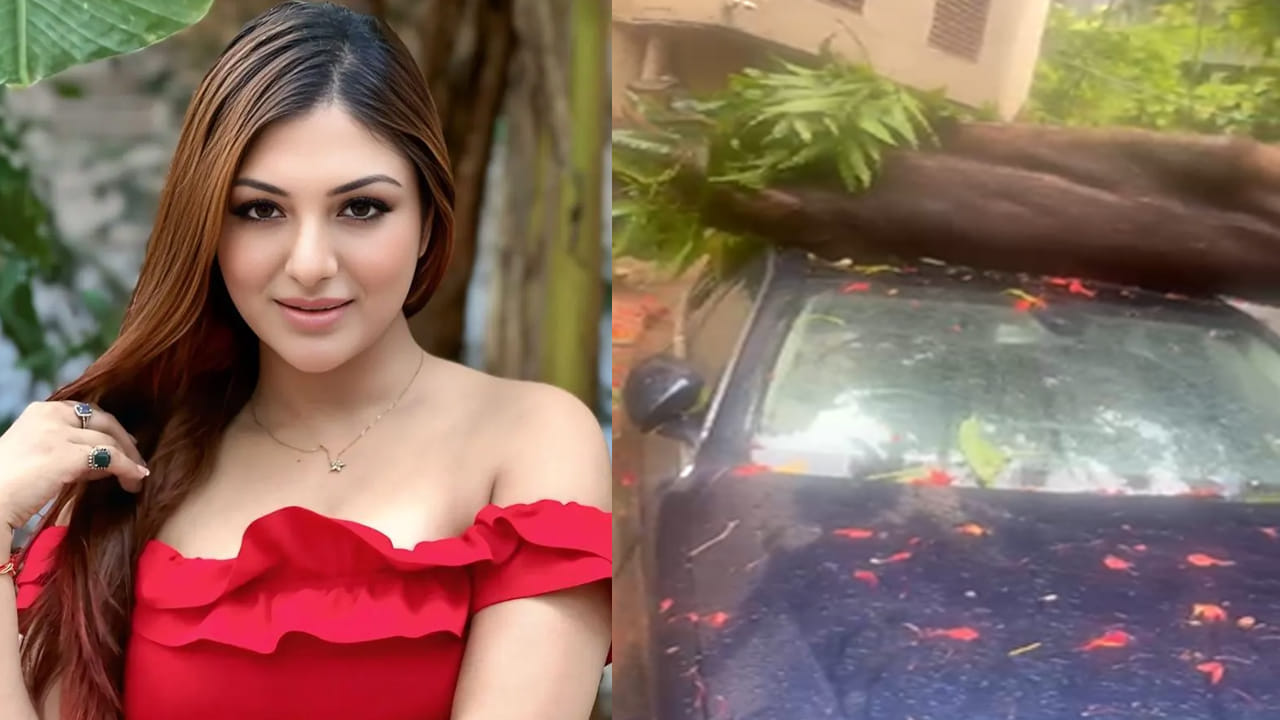 అయ్యో పాపం.. ఒక్కసారిగా నటి కారుపై కూలిన భారీ వృక్షం!