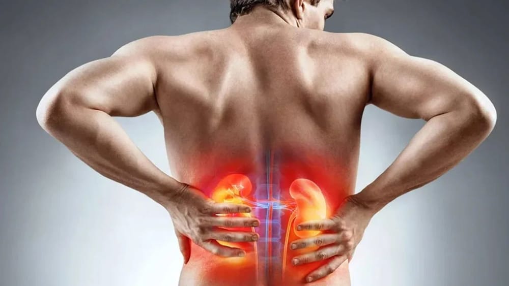 Kidney Failure: కిడ్నీ ఫెయిల్యూర్‌కు ముందు కనిపించే లక్షణాలు ఇవే.. మీలోనూ ఉన్నాయా..? చెక్‌ చేసుకోండి