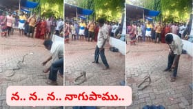 న.. న.. న.. నాగుపాము.. నడకమార్గంలో బుసలు కొట్టి ఏం చేసిందంటే..