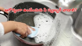 స్టీల్, ప్లాస్టిక్, స్పాంజ్ ఏ గిన్నెకు ఏ స్క్రబ్బర్ వాడాలి?..