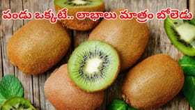 పండు ఒక్కటే.. బెనిఫిట్స్ మాత్రం బోలెడు.. రోజూ ఒక్కటి తింటే..