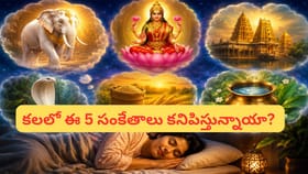 లక్ష్మీ కటాక్షానికి ముందస్తు సంకేతాలు ఇవేనా? కలల్లో కనిపించే..