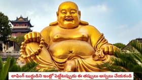 లాఫింగ్ బుద్ధుడిని ఇంట్లో పెట్టేటప్పుడు ఈ తప్పులు అస్సలు చేయకండి