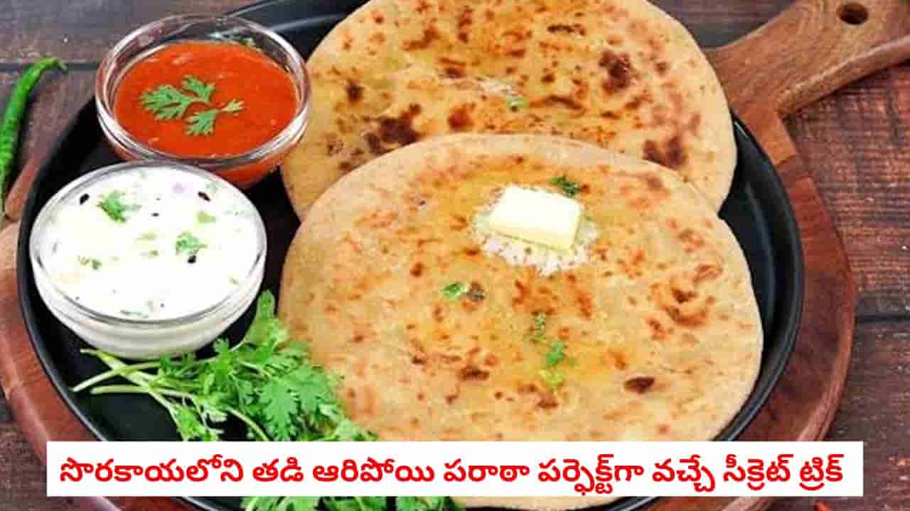 Breakfast Tips: బంగాళదుంప, క్యాబేజీ పరాఠాలు మర్చిపోతారు.. కమ్మని సొరకాయ పరాఠా ఇలా చేస్తే పిల్లలు మళ్లీ మళ్లీ అడుగుతారు!