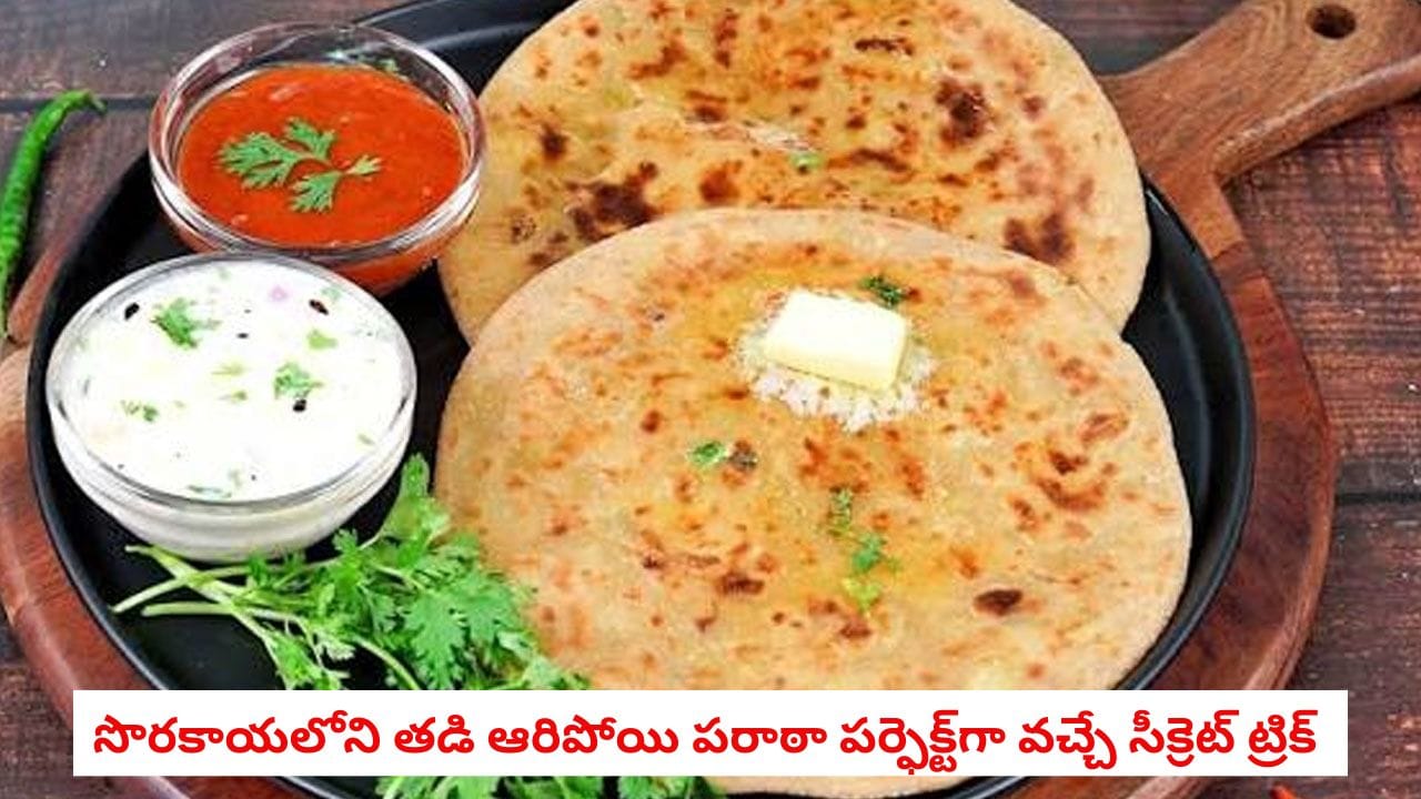Breakfast Tips: బంగాళదుంప, క్యాబేజీ పరాఠాలు మర్చిపోతారు.. కమ్మని సొరకాయ పరాఠా ఇలా చేస్తే పిల్లలు మళ్లీ మళ్లీ అడుగుతారు!