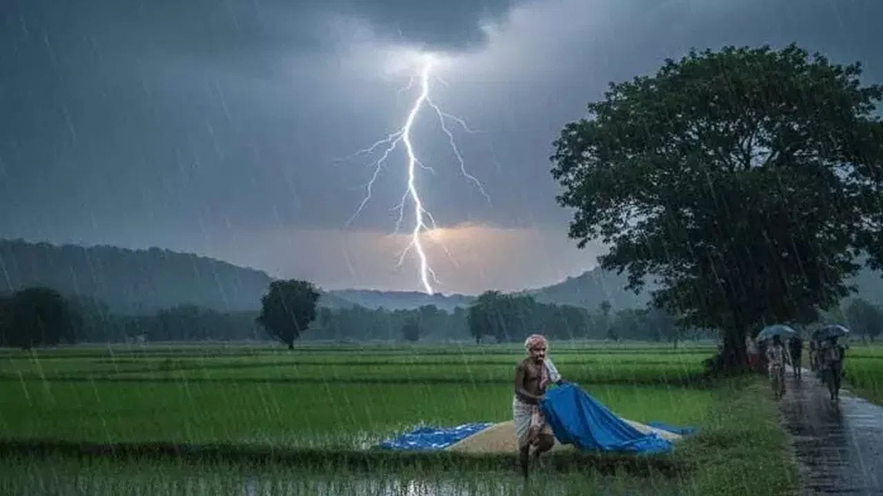 తడి వస్తువులను ముట్టుకోవద్దు: ఉరుములు, మెరుపులతో కూడి వర్షం కురిసేప్పుడు నీరు నేరుగా మెరుపులను ఆకర్షించక పోవచ్చు.. కానీ అది కరెంట్ను మాత్రం అది చాలా స్పీడ్గా ప్రసరిస్తుంది. అంటే మీ దగ్గర్లో ఎక్కడైనా మెరుపులు, పడిగువు వంటికి పడితే.. వాటి నుంచి ఉద్బవించే విద్యుత్ నీటి ద్వారా ప్రయాణించి మిమ్మల్ని తాకవచ్చు. కాబట్టి తుఫాను సమయంలో స్విమ్మింగ్ పూల్స్, చెరువులలో ఉండటం లేదా తడి వస్తువులను తాకడం చేయొద్దని నేషనల్ వెదర్ సర్వీస్ హెచ్చరిస్తోంది.
