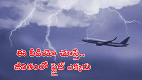 ఈ వీడియో చూస్తే.. జీవితంలో ఫ్లైట్ ఎక్కరు