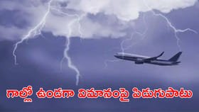 గాల్లో ఉన్న విమానంపై పిడుగుపాటు! 207 మంది ప్రయాణికులు..