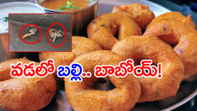 వడలో బల్లి తల.. చట్నీలో మిగతా భాగం.. టిఫిన్ తింటుండగా ఊహించని షాక