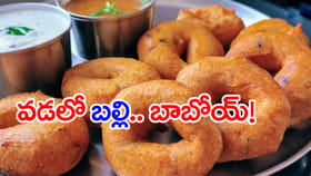 వడలో బల్లి తల.. చట్నీలో మిగతా భాగం.. టిఫిన్ తింటుండగా ఊహించని షాక