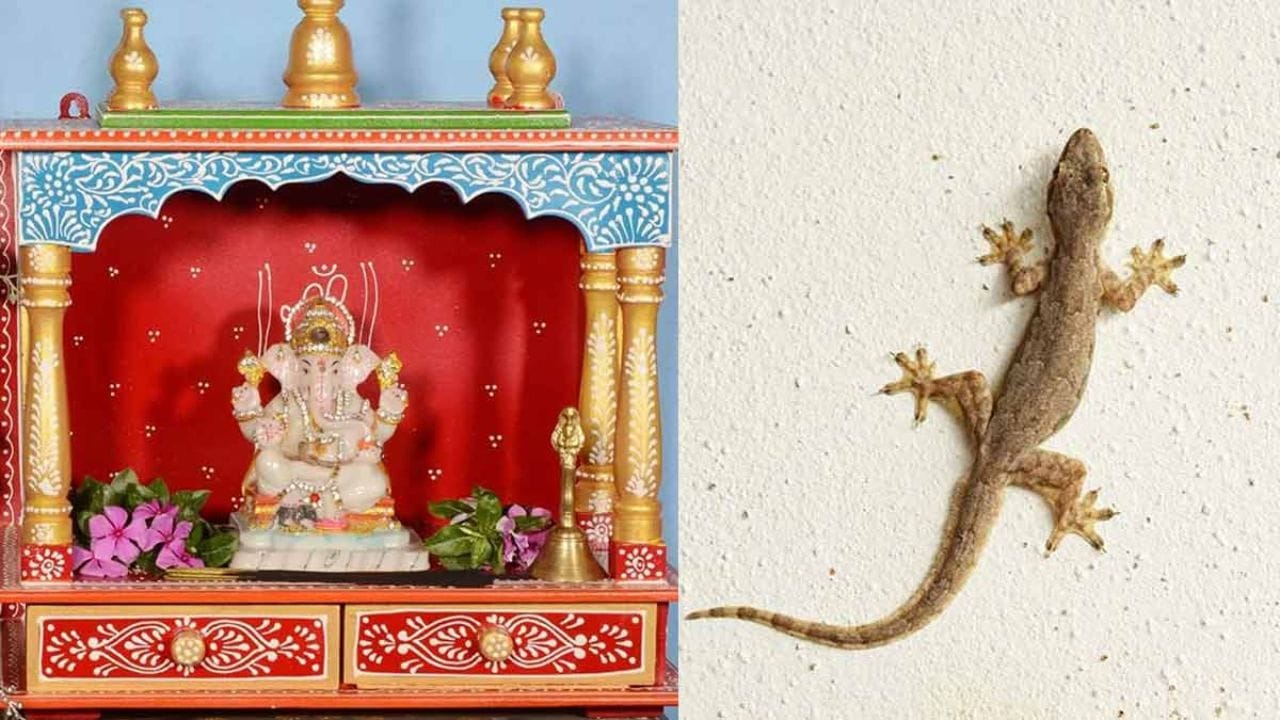 అలాగే, ఇంటి పూజగది లేదా దేవాలయం పరిసరాల్లో బల్లి తిరగడం చాలా శుభప్రదం. ఇది ఇంట్లో సానుకూల శక్తి ప్రవాహాన్ని పెంచుతుంది. దేవుని అనుగ్రహం మీపై ఉందని, మీ కష్టాలన్నీ ఒక్కొక్కటిగా దూరం కాబోతున్నాయని దీని అర్థం. మరోవైపు, డబ్బు దాచుకునే బీరువా లేదా తిజోరీ దగ్గర బల్లి కనిపిస్తే త్వరలోనే భారీ ధనలాభం కలగబోతుందని సంకేతం. ఇంటి ప్రధాన ద్వారం వద్ద బల్లి కనిపించినా కూడా ఆర్థిక ప్రయోజనాలతో పాటు త్వరలోనే ఒక శుభవార్త వింటారని శకున శాస్త్రం వివరిస్తోంది.